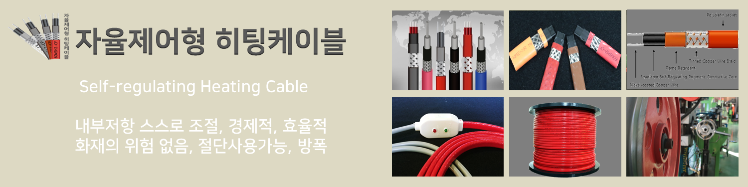 자율2
